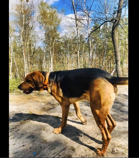 Dobra! Idę stąd! Co tu będę tak... sam siedział!