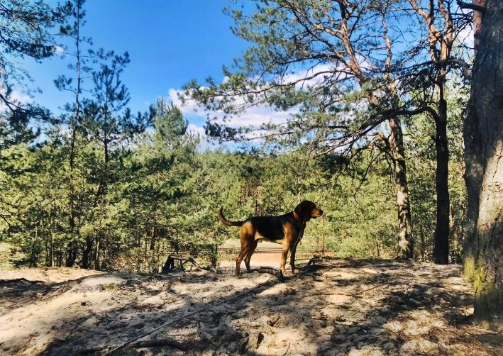 To ta górka. Fotogeniczna górka.
