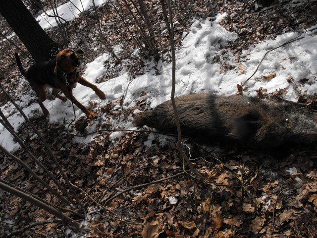 DSCF5085.JPG