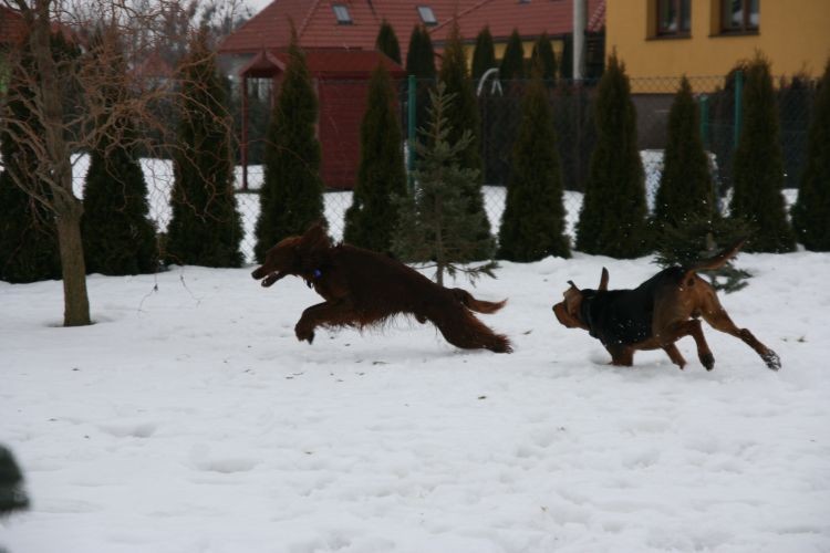 rozgrzewka