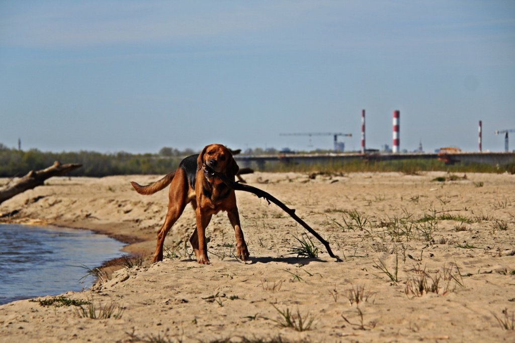 IMG_8989m.JPG