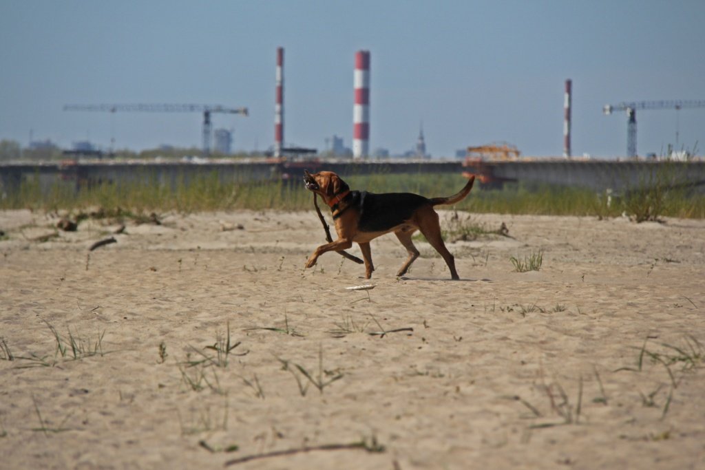 IMG_8997m.JPG