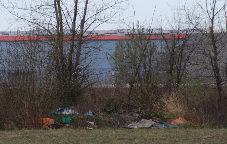 DSC_9752.JPG
