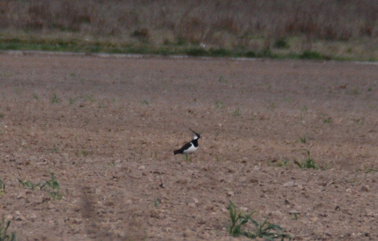 DSC_9749.JPG