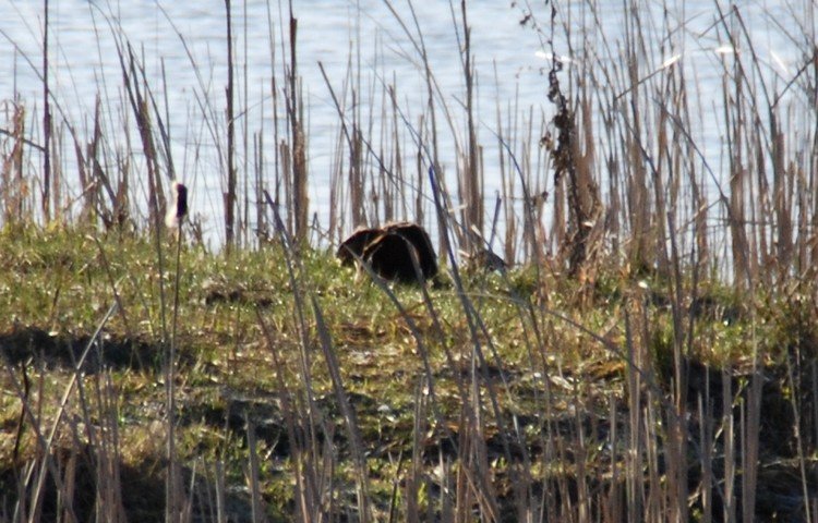 DSC_9805.JPG