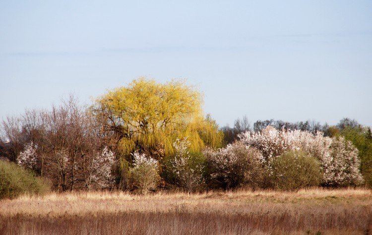 DSC_9769.JPG