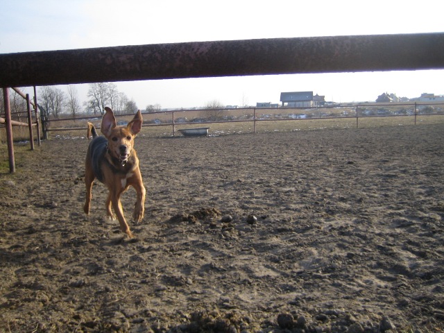 Gapa stara sie latac:)