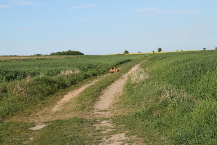 To nie &quot;to&quot;, co myśleliśmy - na szczęście