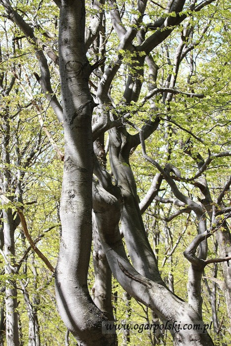 Rzeźby.