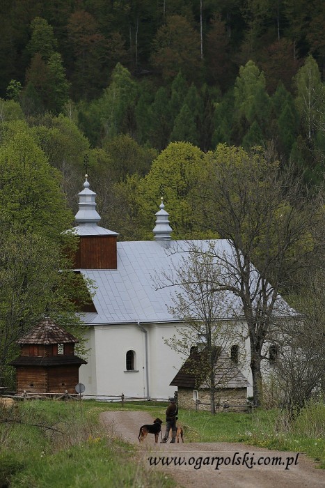 Znowu Łopienka.