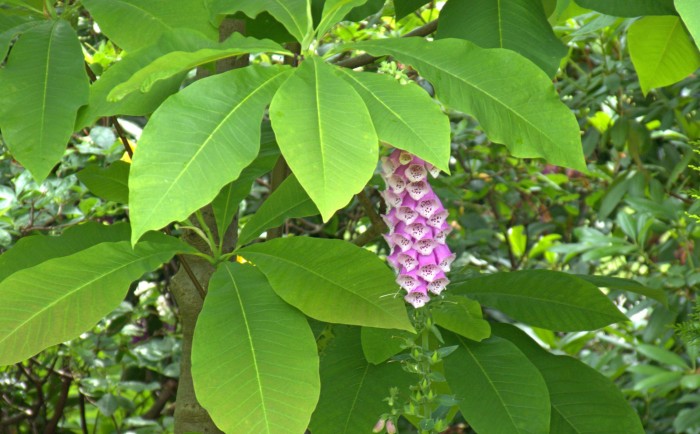 P1100434.jpg