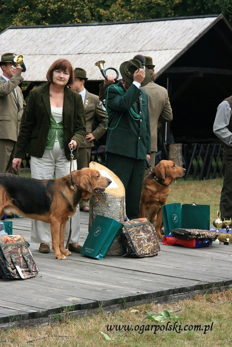 Konkurs Tropowców w Głęboczku 2012.