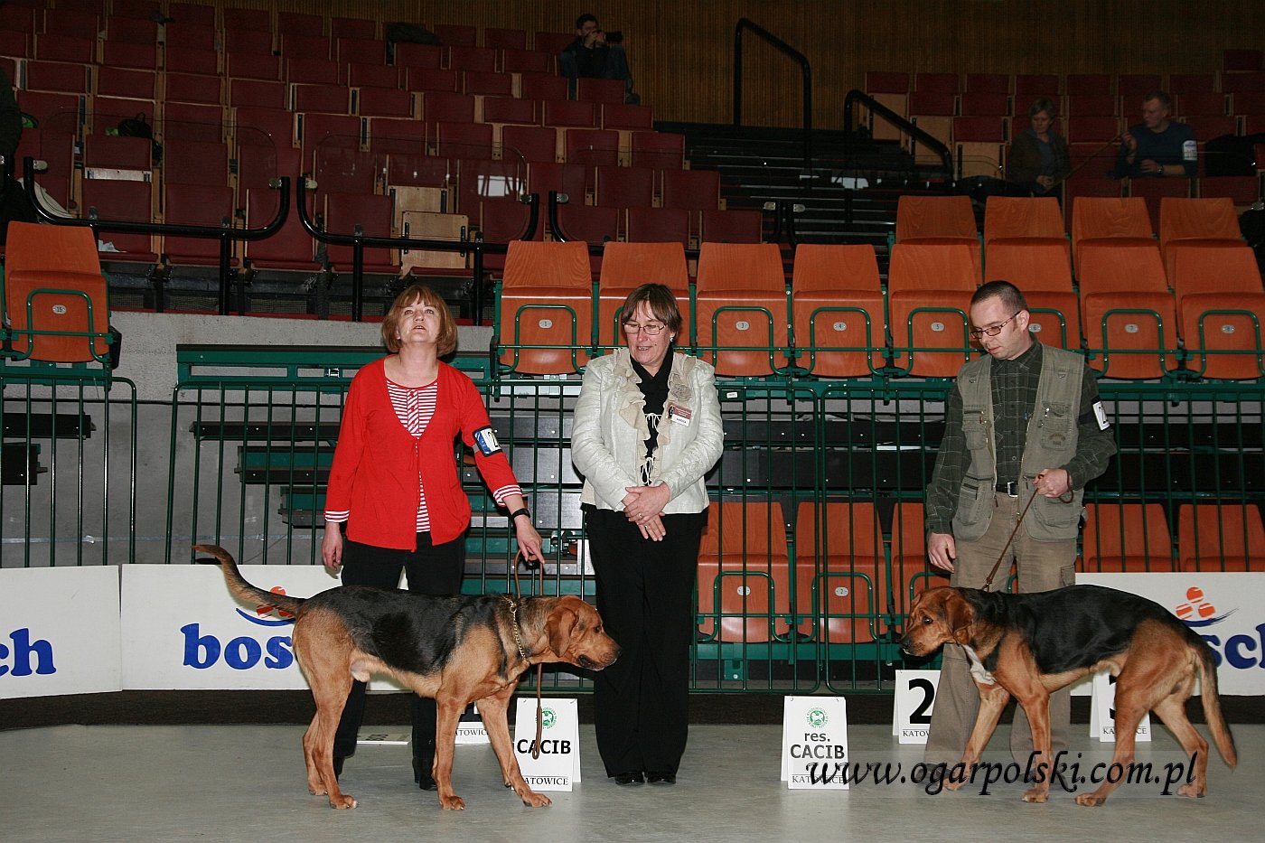 Katowice 2011.