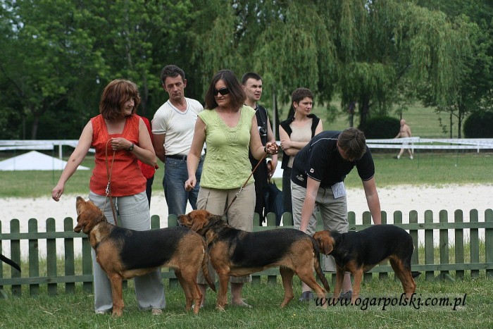 Klubówka na Zamku Książ - Wałbrzych 2007.