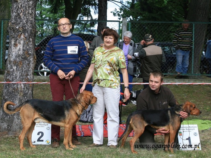 Jelenia Góra 2014.