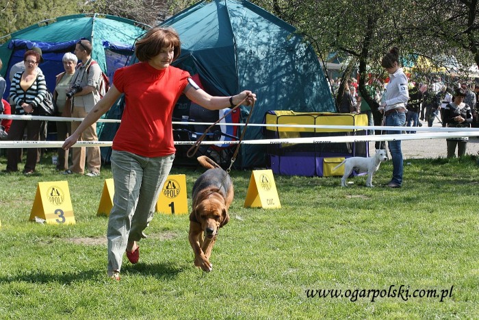 Opole 2010
