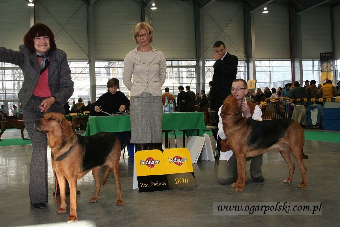 Poznań 2006.