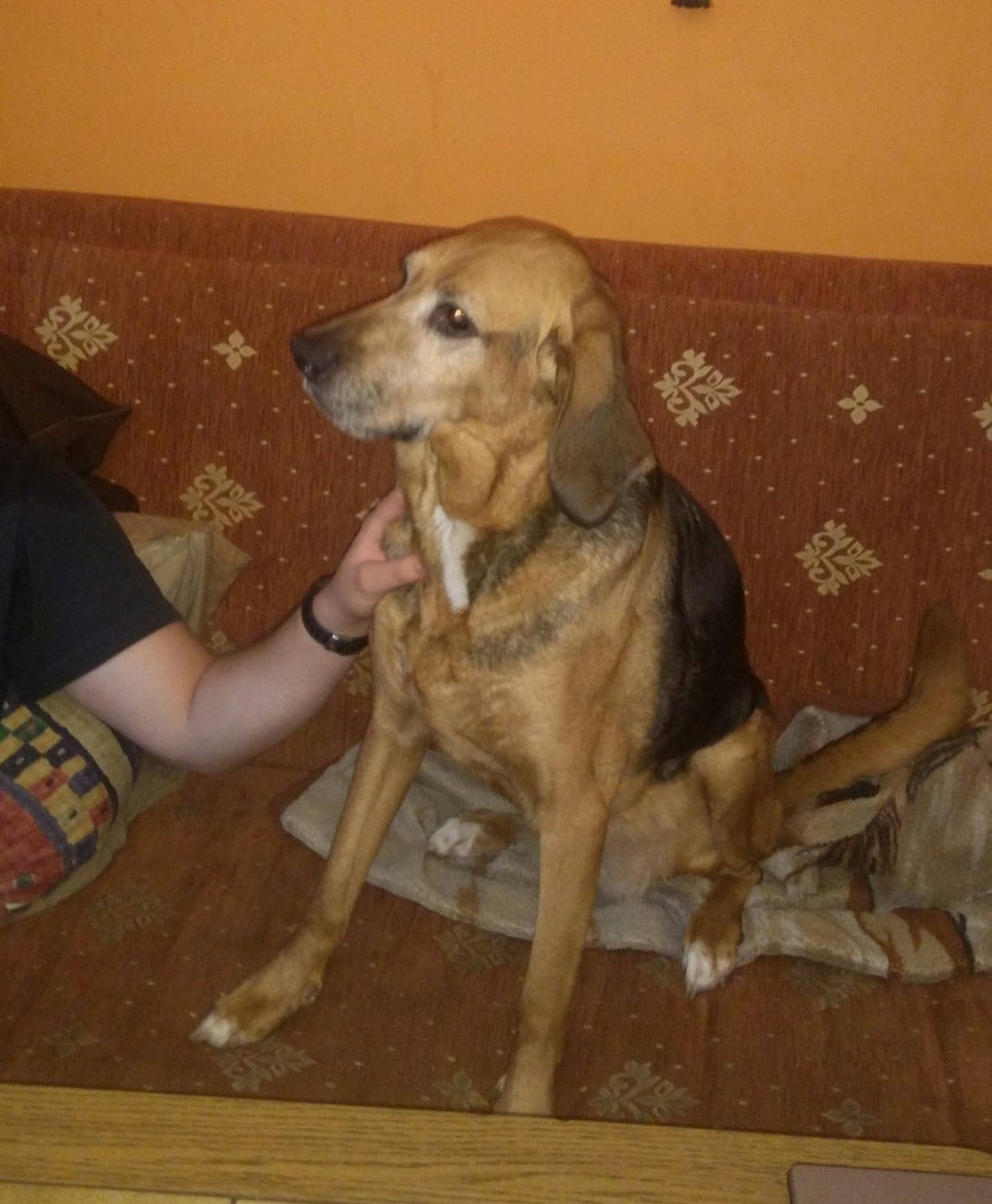 Czesna.jpg