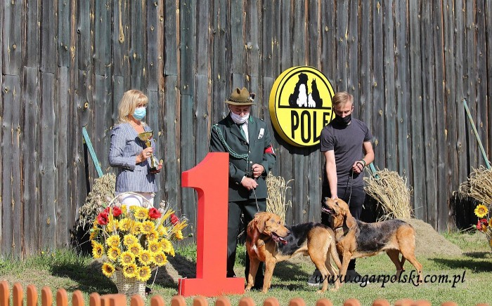 BRUNO z Bołozowej Sfory, ULOTNA z Beskidzkich Wysp