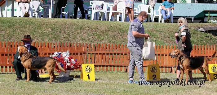 Egar z Beskidzkich Wysp i Gwardzista z Sarmackiej Tradycji