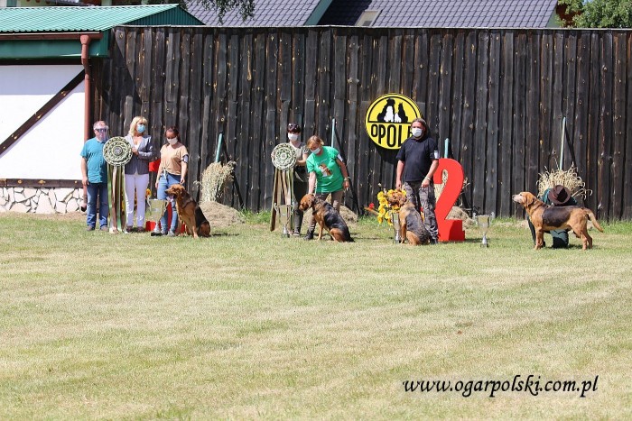małe-IMG_3376.jpg