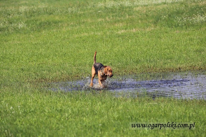 małe-IMG_2871.jpg