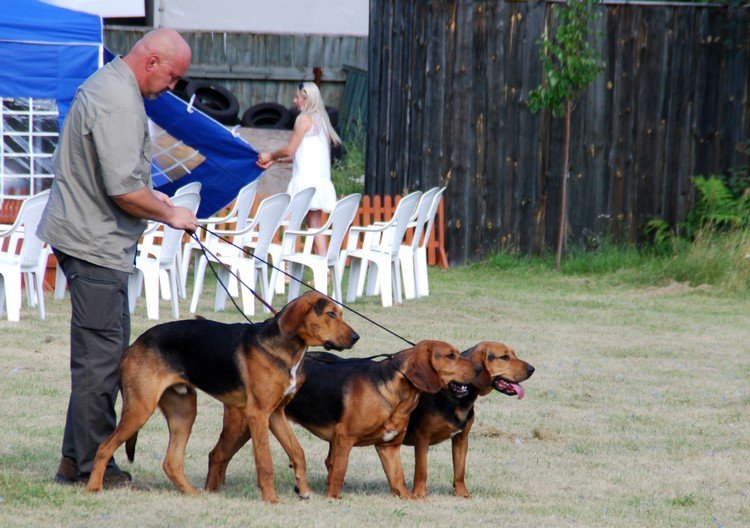 A teraz na ring do oceny indywidualnej !