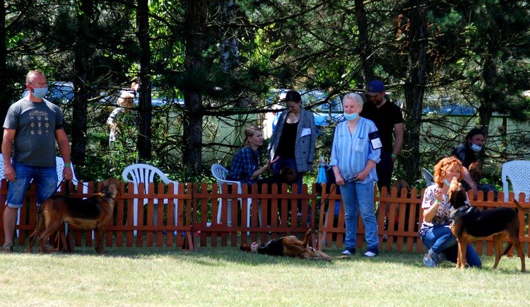 Eria luzuje  :)))