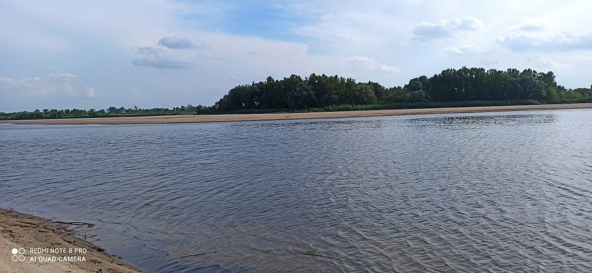 IMG_20200819_171629.jpg
