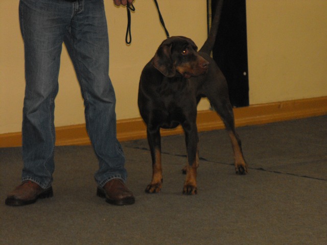 DSCF5022.JPG