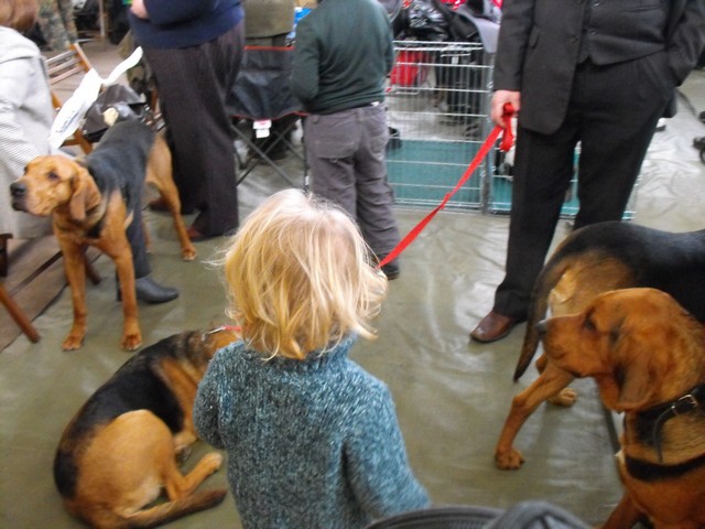 DSCF5029.JPG