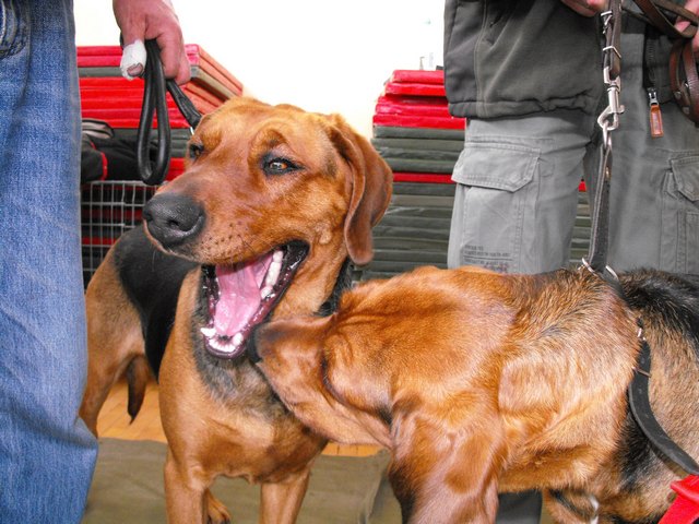DSCF5038.JPG