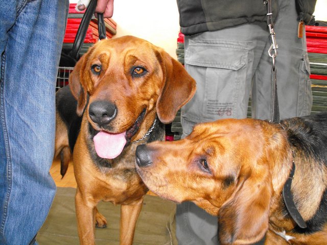 DSCF5039.JPG