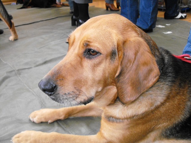 DSCF5042.JPG