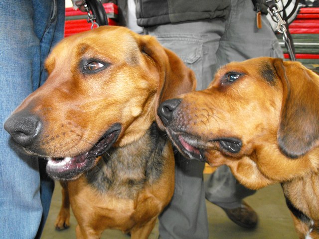 DSCF5046.JPG