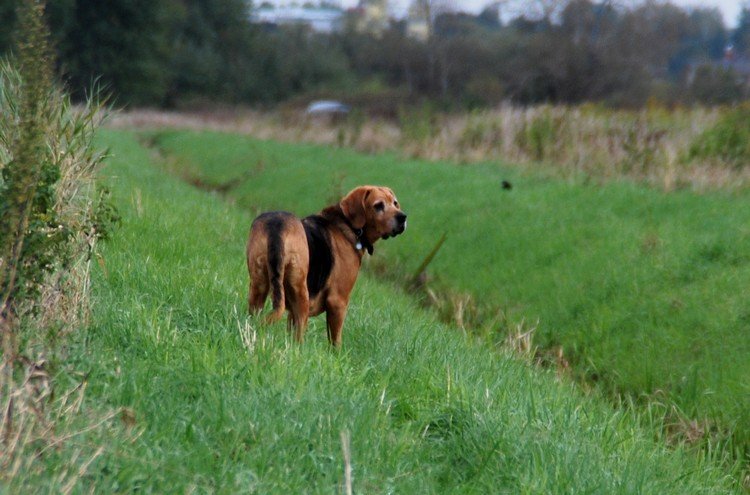 DSC_1136.JPG