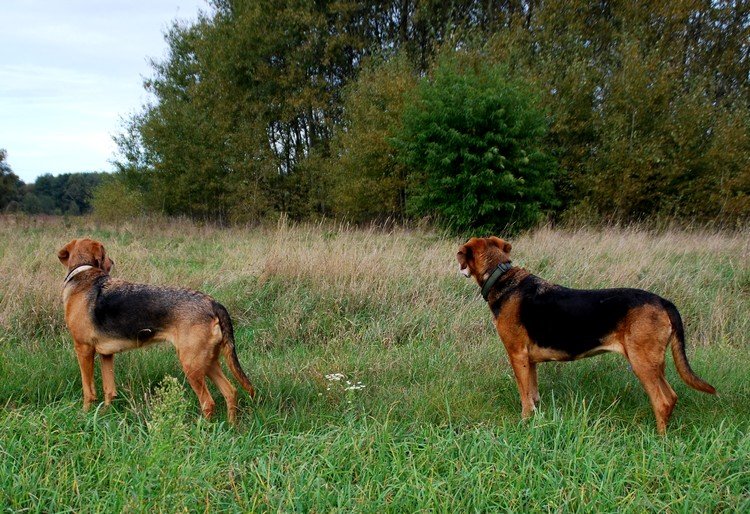 DSC_1154.JPG