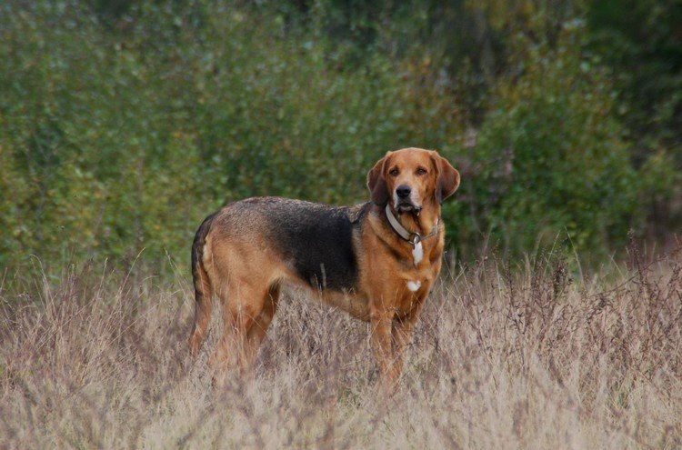 DSC_1165.JPG