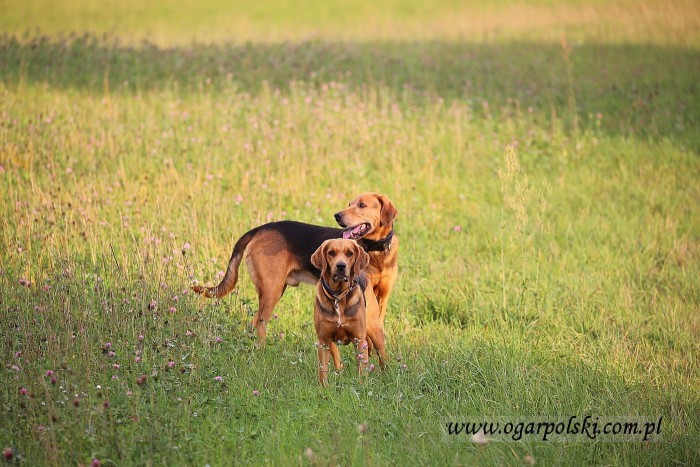 małe-IMG_3705.jpg