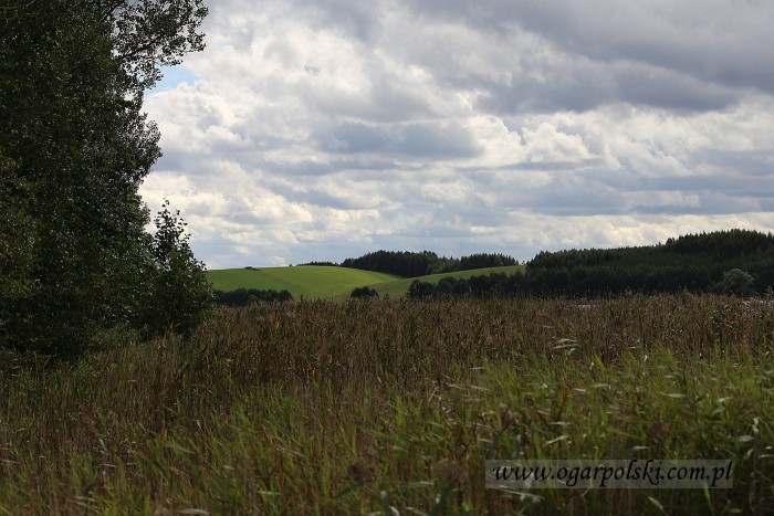 małe-IMG_3759.jpg