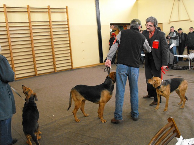 DSCF5062.JPG