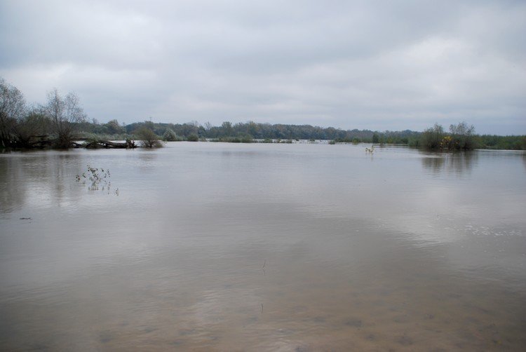DSC_1242.JPG