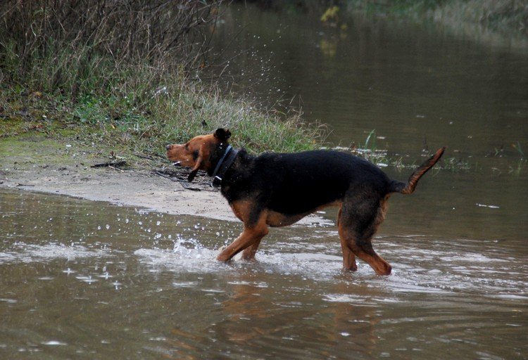 DSC_1244.JPG