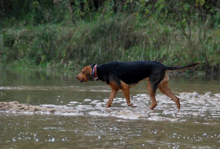 DSC_1253.JPG