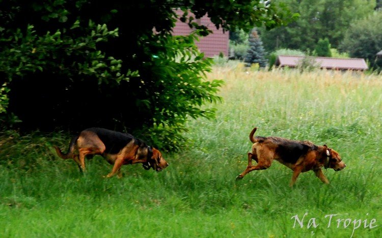DSC_0993.jpg