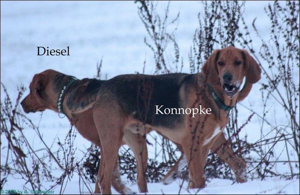 D u K124.JPG