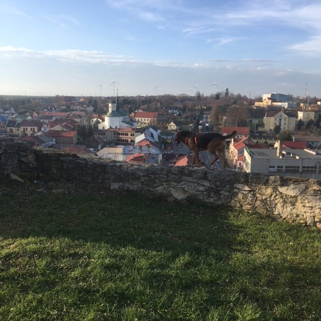 image1.jpeg