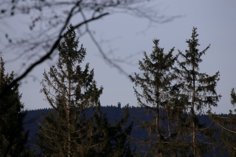 Borówkowa Góra.