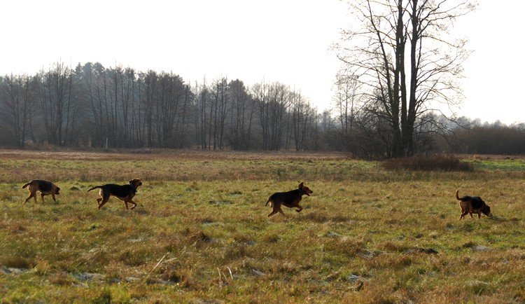 DSC_1713.JPG