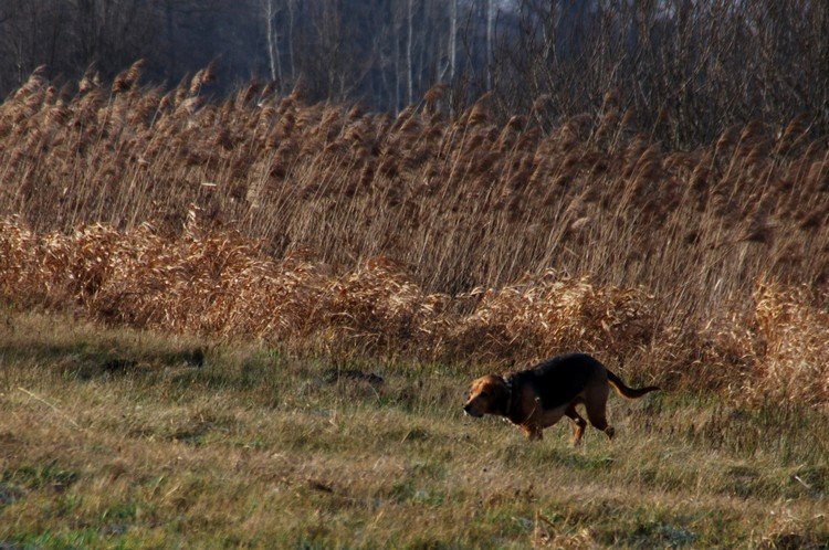 DSC_1714.JPG